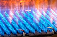 Dutlas gas fired boilers